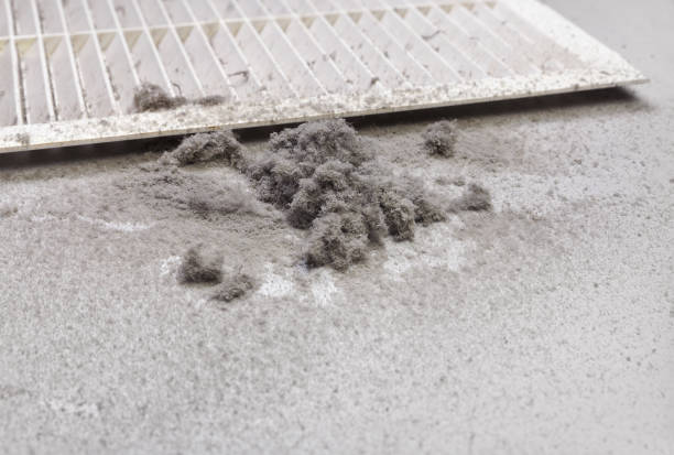 Best Air Duct Inspection  in Boulevard Gardens, FL