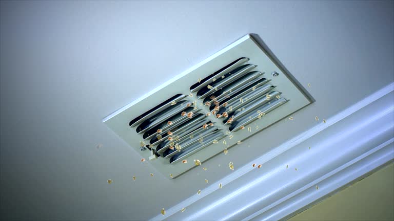 Best Affordable Air Duct Cleaning  in Boulevard Gardens, FL