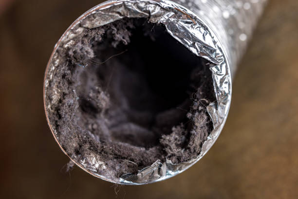 Best Best Air Duct Cleaning Company  in Boulevard Gardens, FL