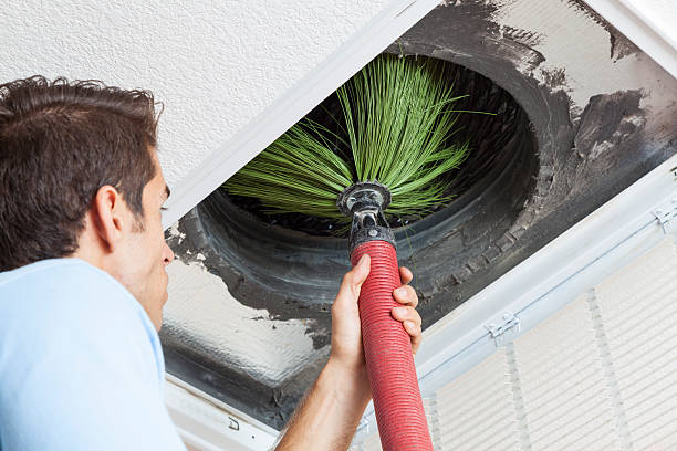 Best Dryer Vent Cleaning Services  in Boulevard Gardens, FL